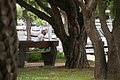Bernhard Saalfeld - DSC04989.JPG
