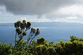 Bernhard Saalfeld - DSC05165.JPG