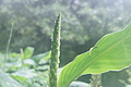 Bernhard Saalfeld - DSC05660.JPG