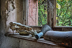 Fensterbank - Bernhard Saalfeld