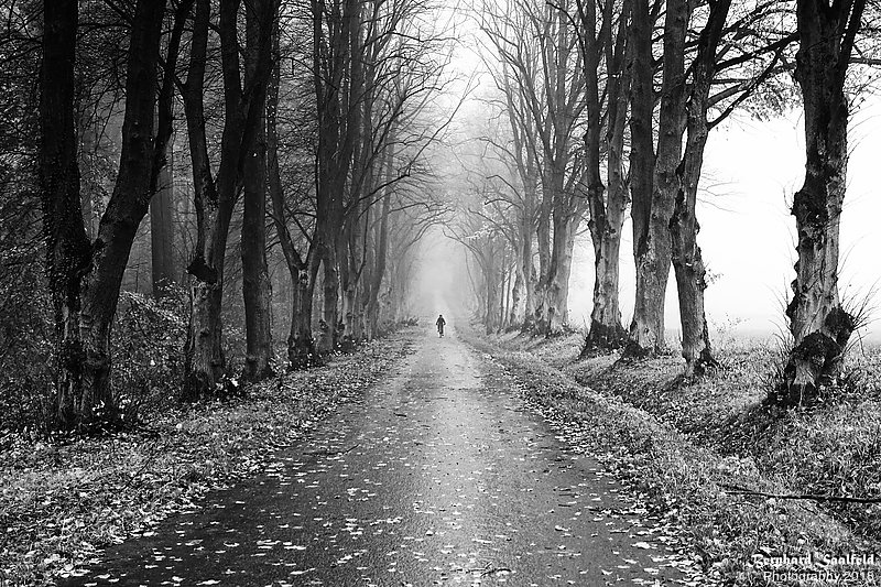 Bernhard Saalfeld - Autumn