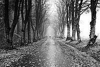 Bernhard Saalfeld - Autumn