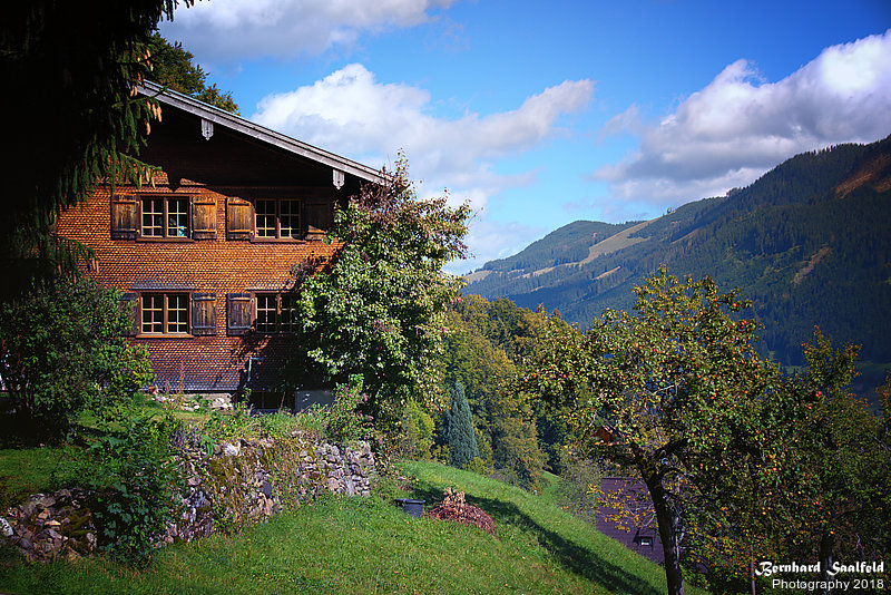 Bernhard Saalfeld - Berghof