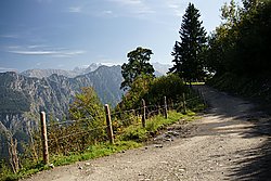 Bernhard Saalfeld - Bergweg