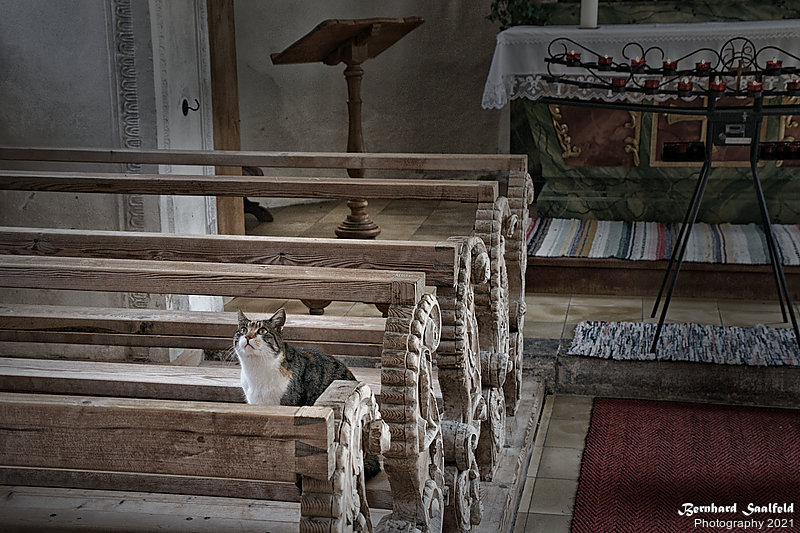Bernhard Saalfeld - CatAtChurch