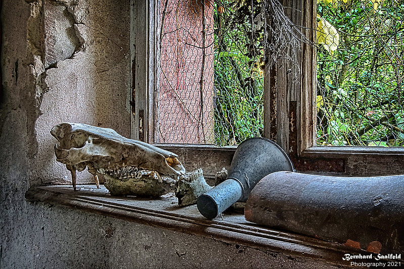 Bernhard Saalfeld - Fensterbank
