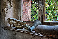 Bernhard Saalfeld - Fensterbank