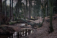Bernhard Saalfeld - Flehbach