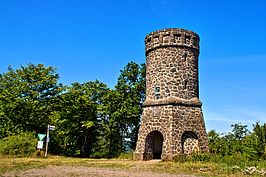 Bernhard Saalfeld - Dronketurm