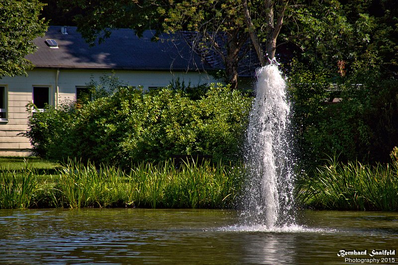 Bernhard Saalfeld - Kurpark