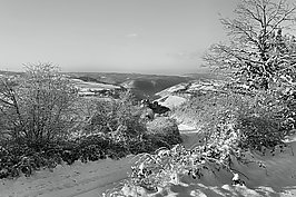 Bernhard Saalfeld - L1002548.JPG