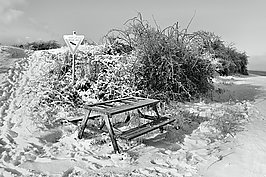 Bernhard Saalfeld - L1002551.JPG