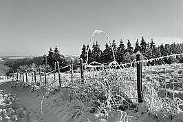 Bernhard Saalfeld - L1002591.JPG