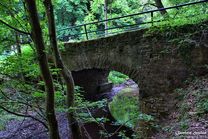 Bernhard Saalfeld - Ehrbach Brcke