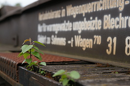 Bernhard Saalfeld - c1.jpg