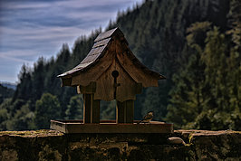 Bernhard Saalfeld - Vogelhaus