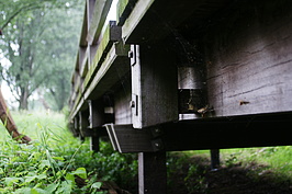 Bernhard Saalfeld - DSC04267.JPG
