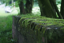 Bernhard Saalfeld - DSC04291.JPG