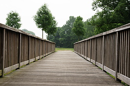 Bernhard Saalfeld - DSC04300.JPG