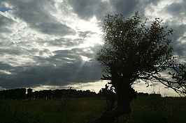 Bernhard Saalfeld - DSC02495.JPG