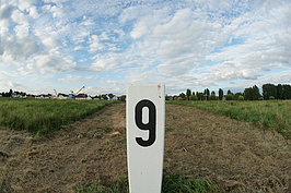 Bernhard Saalfeld - DSC02529.JPG