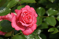 Bernhard Saalfeld - DSC08493.JPG