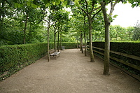 Bernhard Saalfeld - DSC08512.JPG