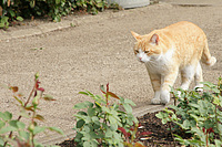 Bernhard Saalfeld - DSC08519.JPG