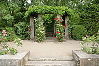 Bernhard Saalfeld - DSC08528.JPG