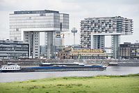 Bernhard Saalfeld - DSC08578.JPG
