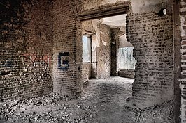 Bernhard Saalfeld - DSC03870_1_2_Localtone.jpg