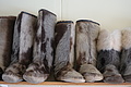 Bernhard Saalfeld - DSC00602.JPG