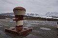 Bernhard Saalfeld - DSC08203.JPG
