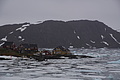 Bernhard Saalfeld - DSC08258.JPG