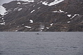 Bernhard Saalfeld - DSC08293.JPG