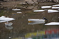 Bernhard Saalfeld - DSC08328.JPG