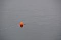Bernhard Saalfeld - DSC08330.JPG