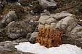 Bernhard Saalfeld - DSC08331.JPG