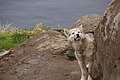 Bernhard Saalfeld - DSC08334.JPG