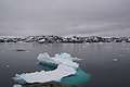 Bernhard Saalfeld - DSC08346.JPG