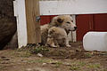 Bernhard Saalfeld - DSC08351.JPG
