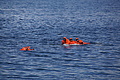 Bernhard Saalfeld - DSC08419.JPG