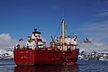 Bernhard Saalfeld - DSC08422.JPG