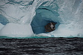Bernhard Saalfeld - DSC08483.JPG