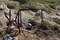 Bernhard Saalfeld - DSC08490.JPG