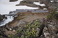 Bernhard Saalfeld - DSC08662.JPG