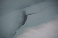 Bernhard Saalfeld - DSC08686.JPG