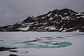 Bernhard Saalfeld - DSC08711.JPG