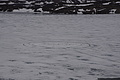 Bernhard Saalfeld - DSC08746.JPG