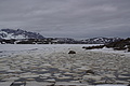 Bernhard Saalfeld - DSC08749.JPG